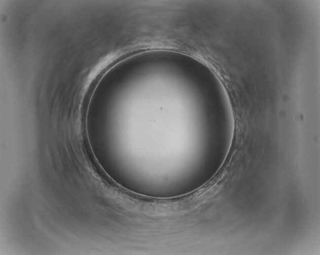 X0000071910008200607071144