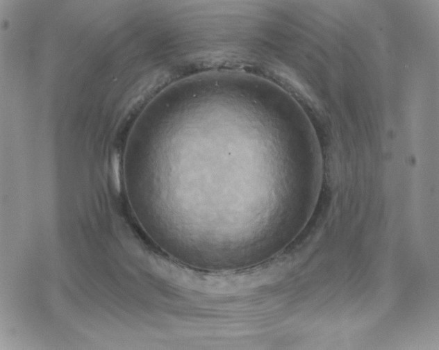 X0000071910022200607071143
