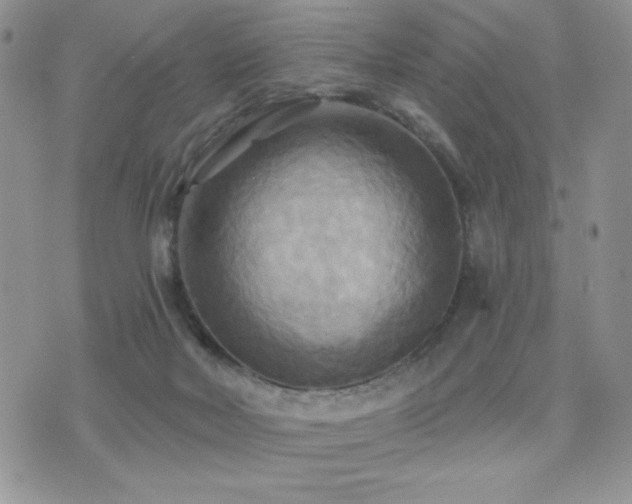X0000071910026200607071143