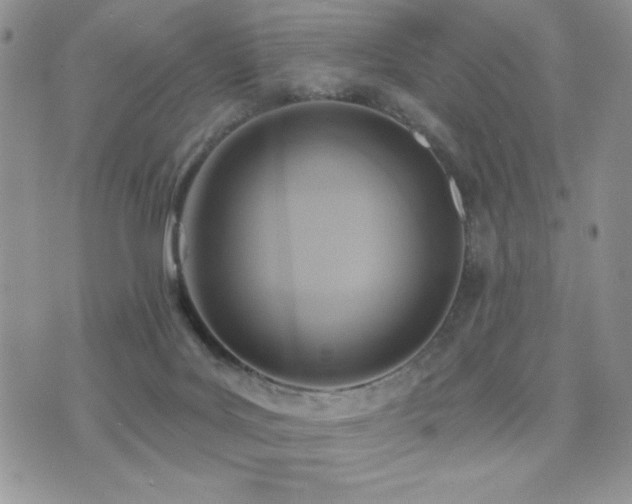 X0000071910027200607071143