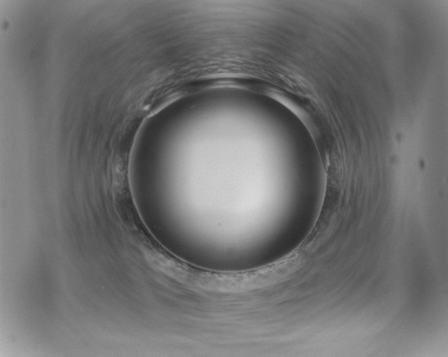 X0000071910037200607071143