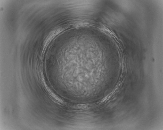 X0000071910049200607071142