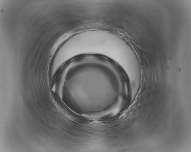 X0000071910054200607071142