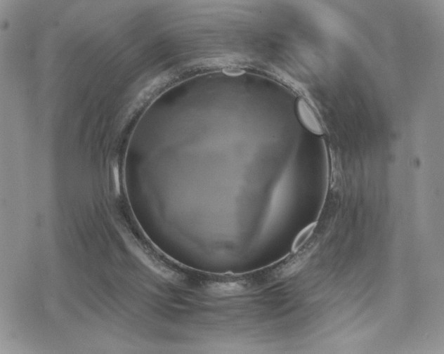X0000071910061200607071142
