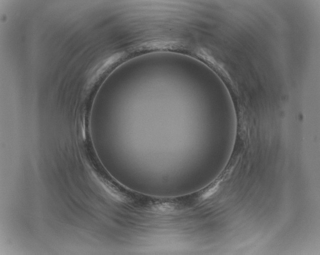 X0000071910062200607071142