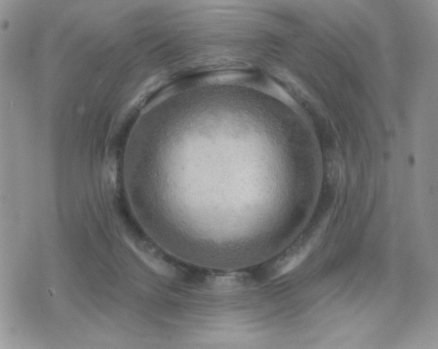 X0000071910072200607071142