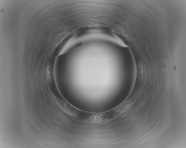 X0000071910080200607071143