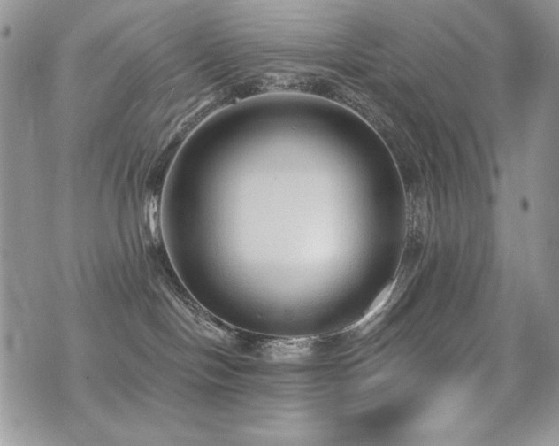 X0000071910094200607071143