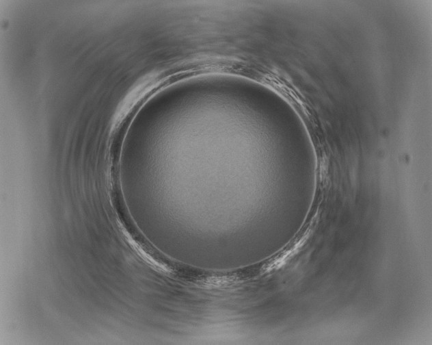 X0000071910101200607071142