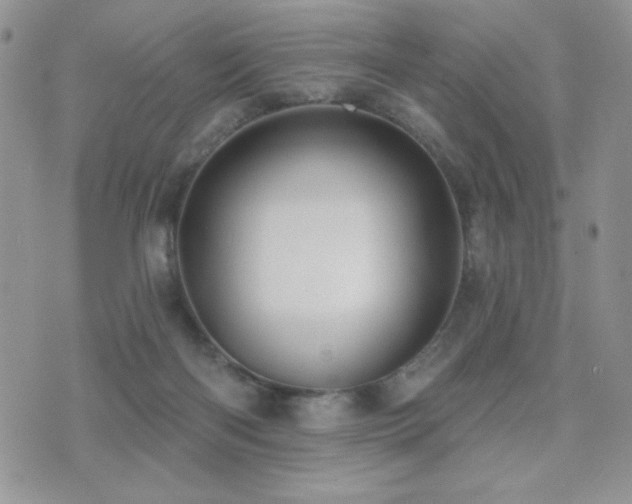 X0000071910122200607071142