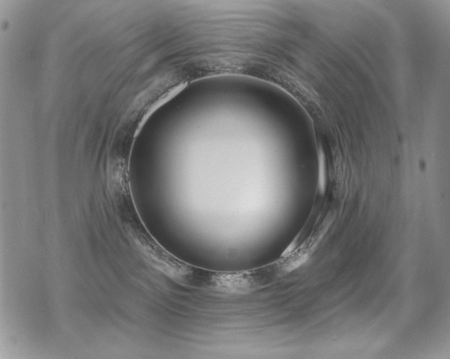 X0000071910141200607071141