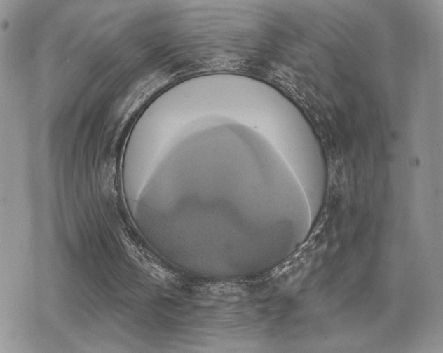 X0000071910146200607071141