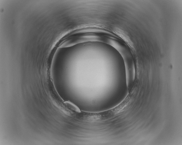 X0000071910156200607071141