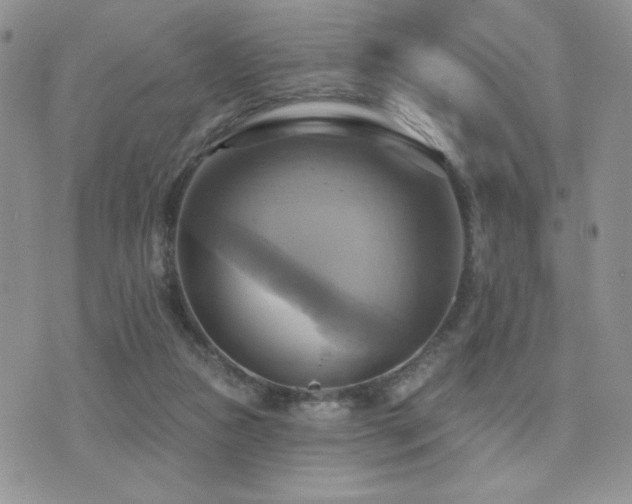 X0000071910161200607071141