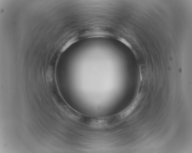X0000071910174200607071141