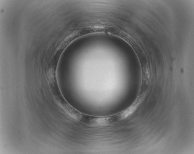 X0000071910184200607071141