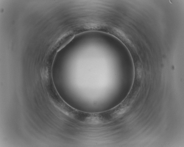 X0000071910211200607071140
