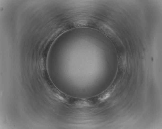 X0000071910224200607071140