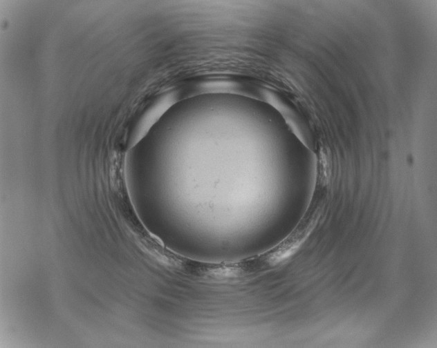 X0000071910237200607071140
