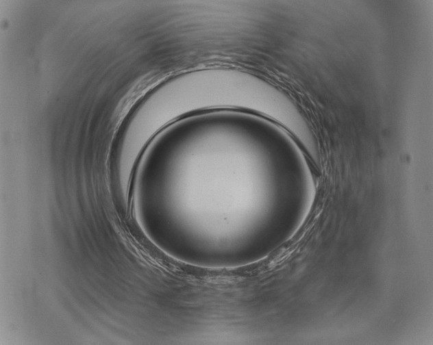 X0000071910242200607071139