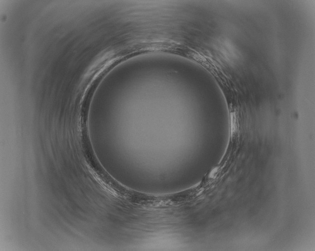 X0000071910243200607071139