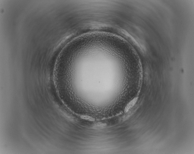 X0000071910257200607071139