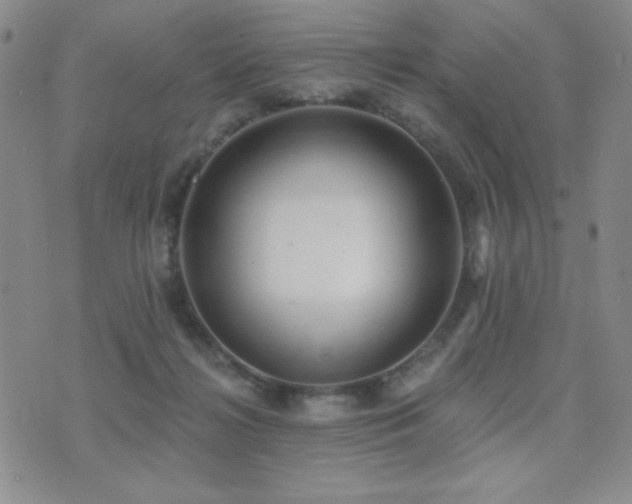 X0000071910268200607071139