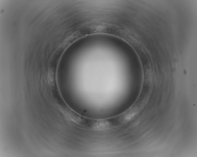 X0000071910274200607071139
