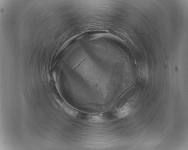 X0000071910285200607071140