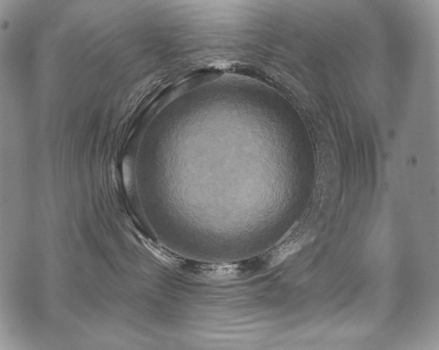 X0000071910288200607071140