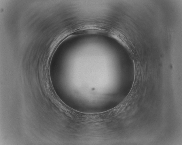 X0000071910289200607071139