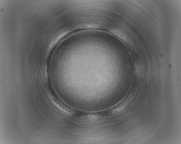 X0000071910302200607071139