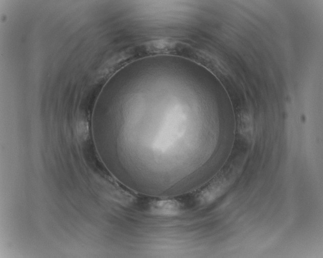 X0000071910324200607071138