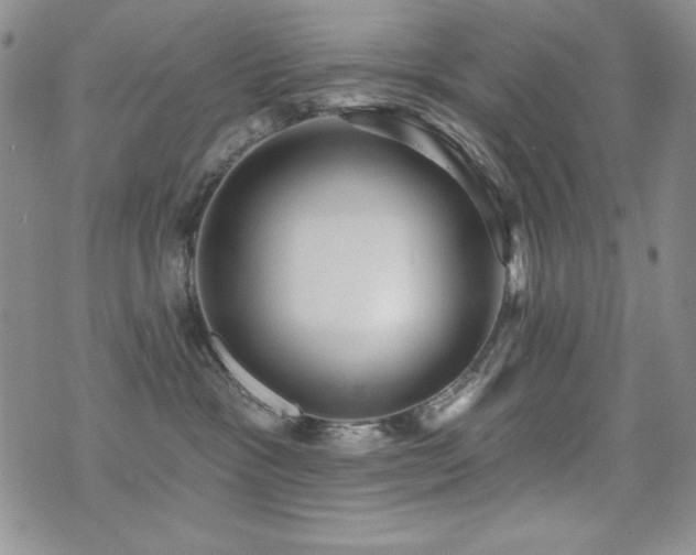 X0000071910333200607071138