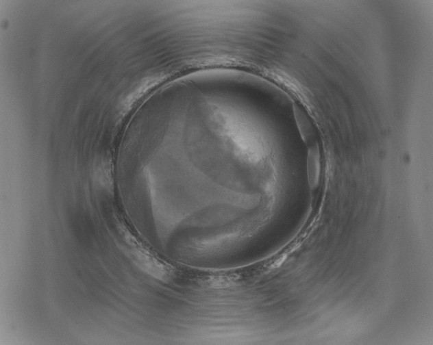 X0000071910345200607071138