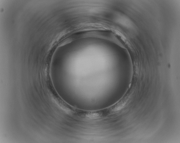 X0000071910357200607071138