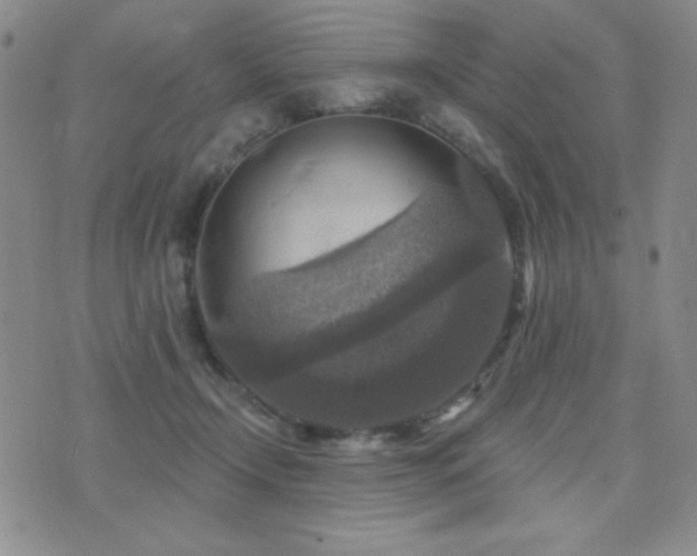 X0000071910366200607071138