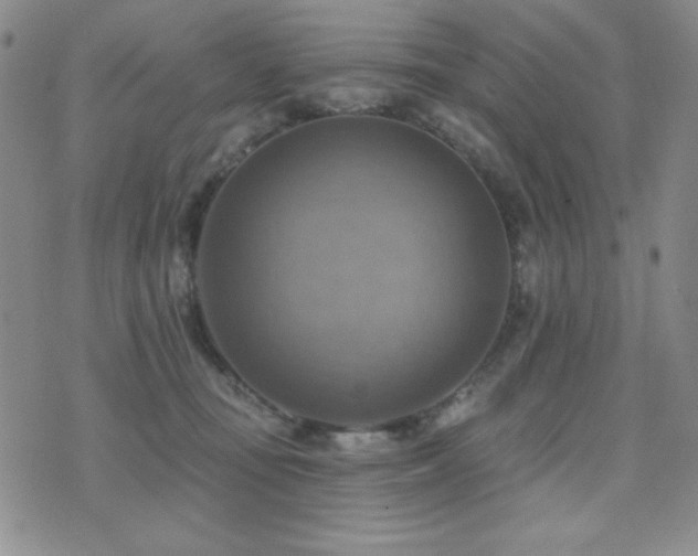 X0000071910371200607071138