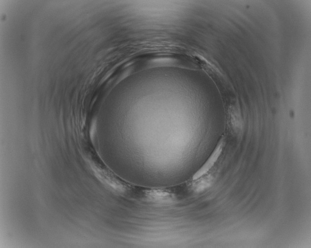 X0000071910380200607071138