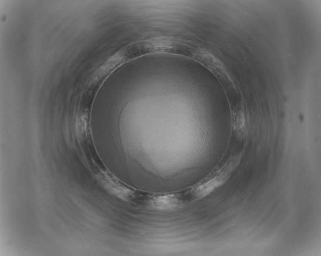 X0000071910382200607071138