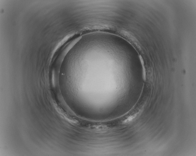 X0000071910395200607071137