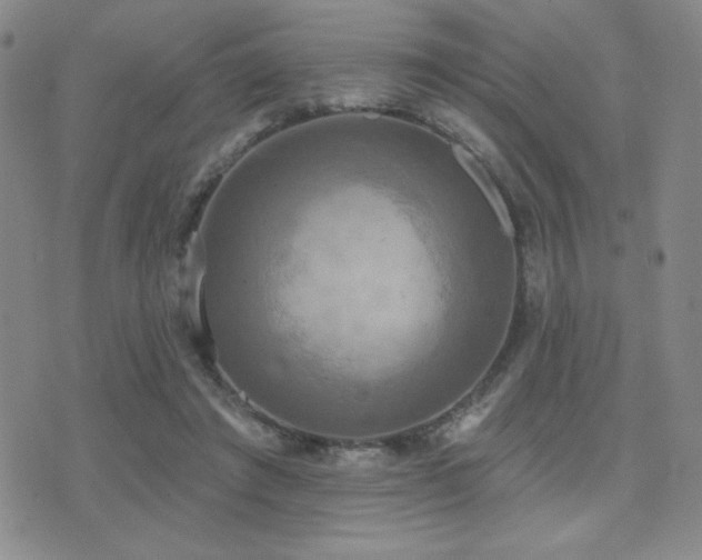 X0000071910401200607071137