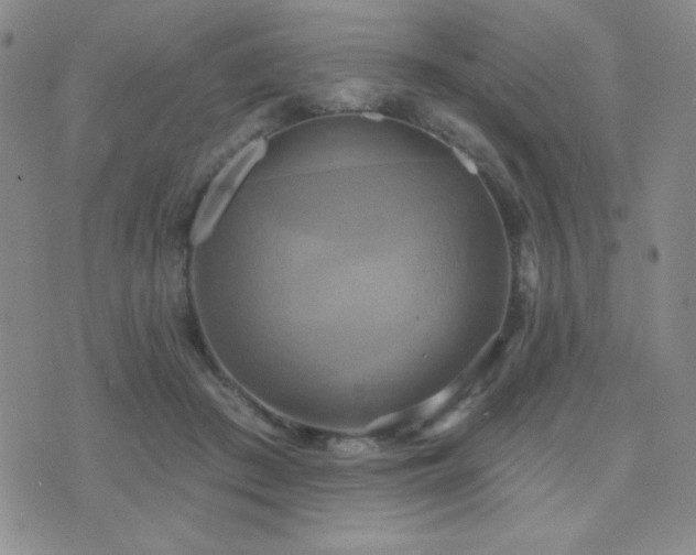 X0000071910409200607071137