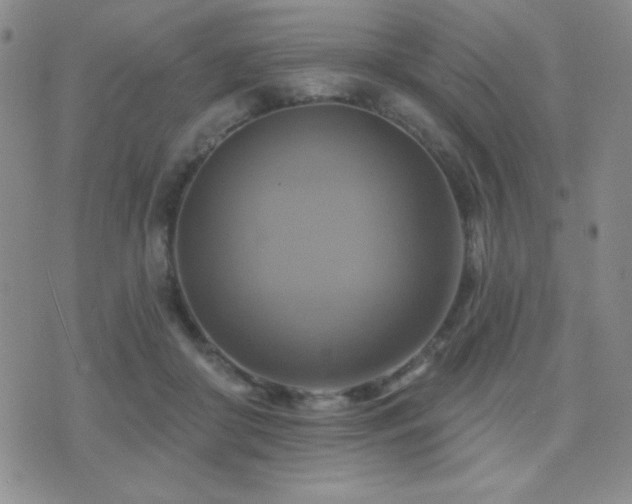 X0000071910410200607071137