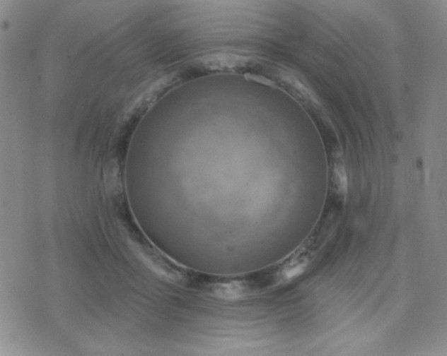 X0000071910411200607071137