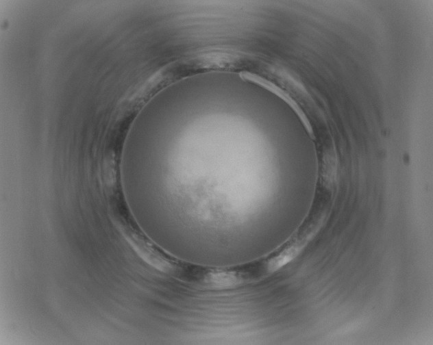 X0000071910413200607071137
