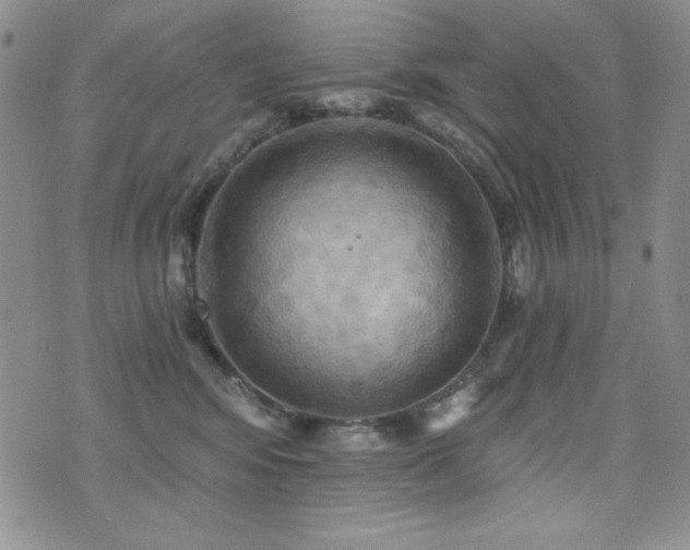 X0000071910424200607071137