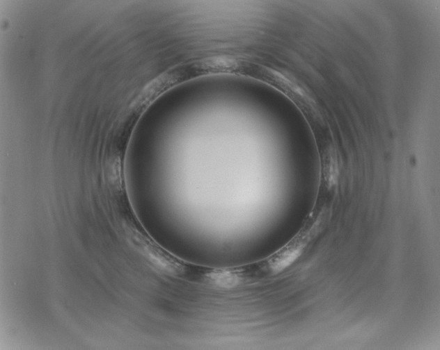 X0000071910425200607071137