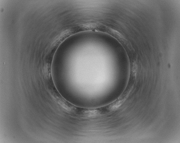 X0000071910428200607071137