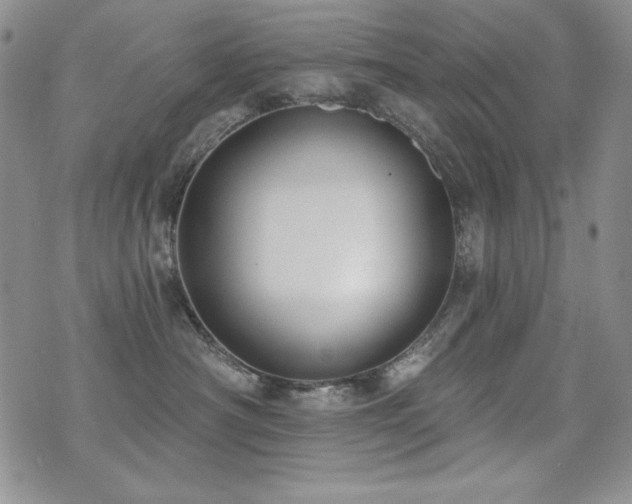 X0000071910430200607071137